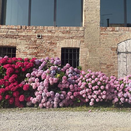 B&B Il Conte Giacomo Viarolo エクステリア 写真