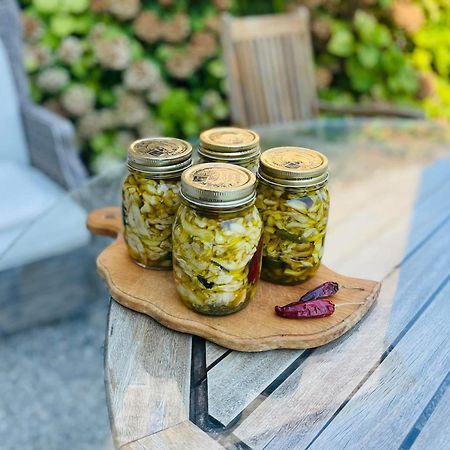 B&B Il Conte Giacomo Viarolo エクステリア 写真