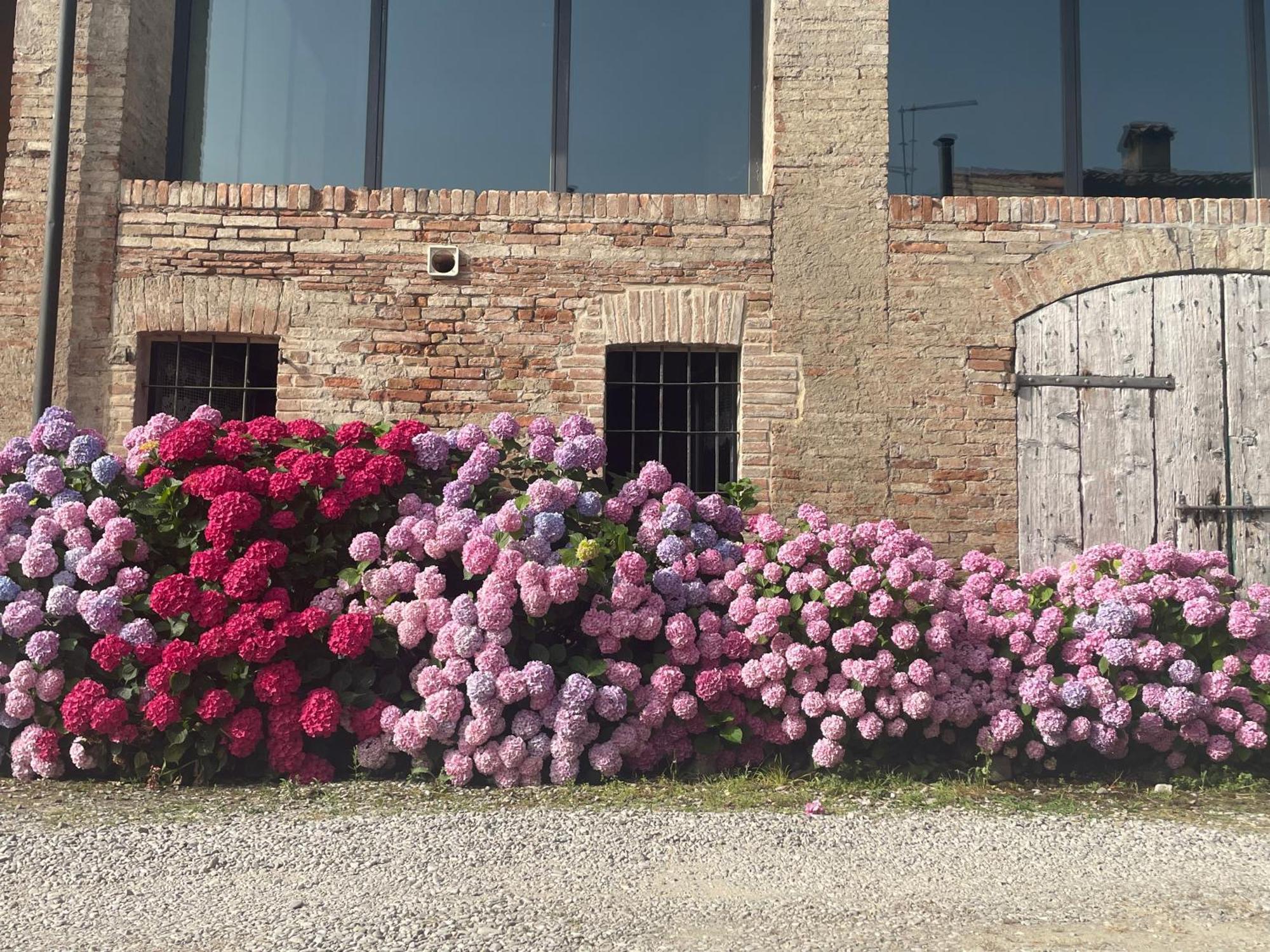 B&B Il Conte Giacomo Viarolo エクステリア 写真